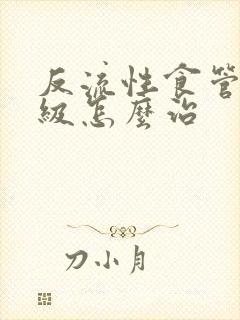 反流性食管炎b级怎么治