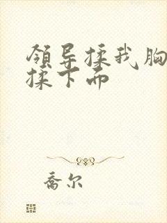 领导揉我胸亲奶揉下面