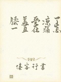 膝盖受凉了然后一直在痛怎么办封面