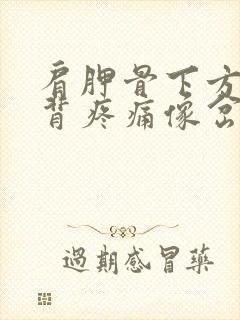 肩胛骨下方的后背疼痛像岔气一样封面