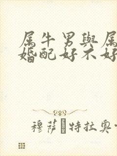 属牛男与属龙女婚配好不好