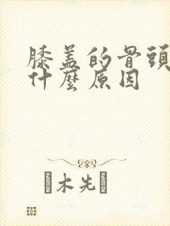 膝盖的骨头疼是什么原因