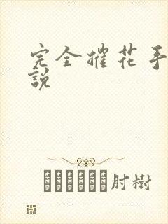 完全摧花手册小说
