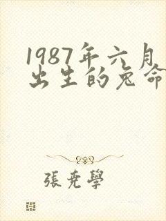 1987年六月出生的兔命运如何