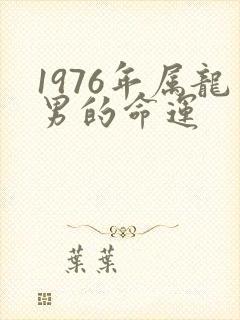 1976年属龙男的命运封面