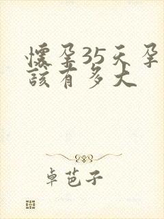 怀孕35天孕囊该有多大