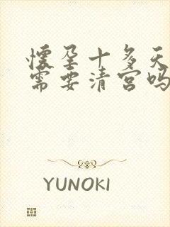 怀孕十多天药流需要清宫吗封面