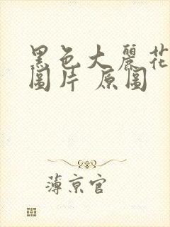 黑色大丽花真实图片 原图