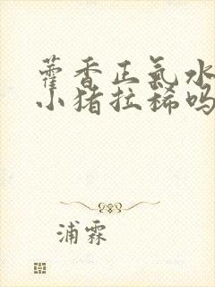 藿香正气水能治小猪拉稀吗