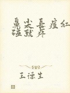 鼻尖长痘红肿一碰就疼