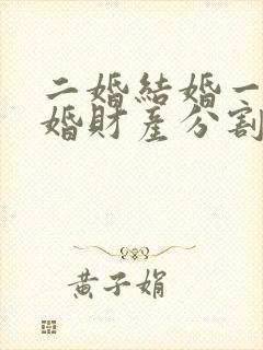 二婚结婚一年离婚财产分割