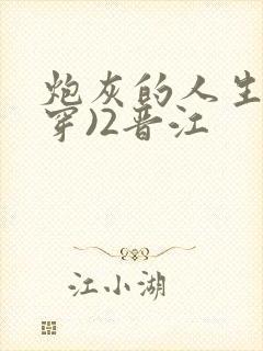 炮灰的人生(快穿)2晋江封面