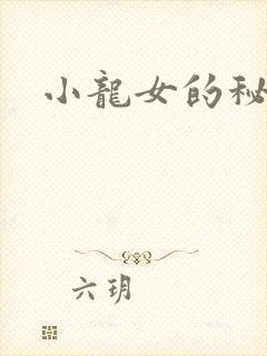 小龙女的秘密封面