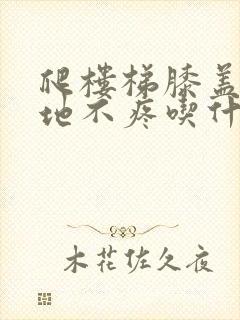 爬楼梯膝盖疼平地不疼吃什么药封面