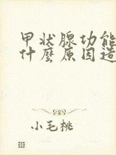 甲状腺功能低下什么原因造成的