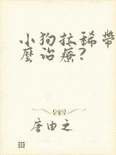 小狗拉稀带血怎么治疗?