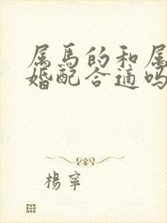 属马的和属马的婚配合适吗