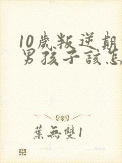10岁叛逆期的男孩子该怎样去沟通教育封面