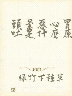 头晕恶心胃疼想吐是什么原因造成的