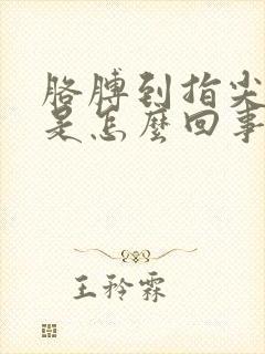 胳膊到指尖都麻是怎么回事儿