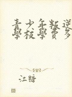 青少年叛逆厌学学校学费多少封面