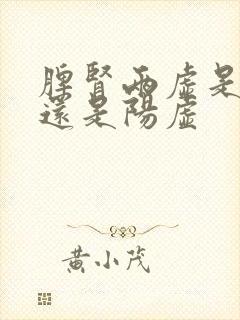 脾肾两虚是阴虚还是阳虚封面