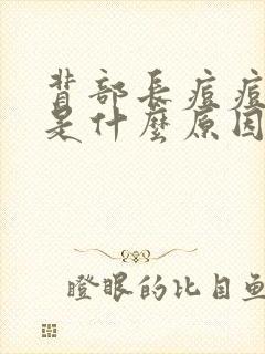 背部长痘痘中医是什么原因