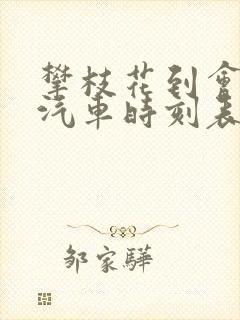 攀枝花到会东县汽车时刻表