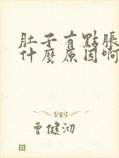 肚子有点胀痛是什么原因啊