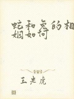 蛇和兔的相配婚姻如何