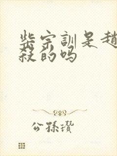 柴宗训是赵匡胤杀的吗封面