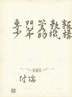 专门管教叛逆青少年的机构