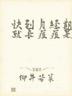 快到月经期脸上就长痘痘是什么原因