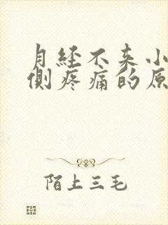 月经不来小腹左侧疼痛的原因有哪些