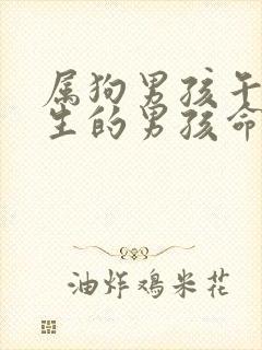 属狗男孩午时出生的男孩命运封面