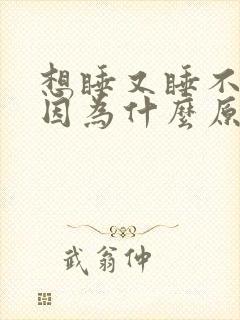 想睡又睡不着是因为什么原因