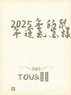 2025年的鼠年运气怎样