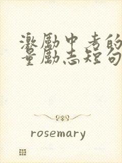 激励中考的正能量励志短句封面