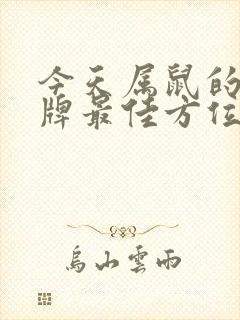 今天属鼠的人打牌最佳方位封面