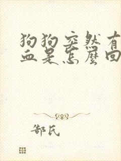 狗狗突然有点尿血是怎么回事