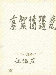 右脚后跟疼是什么原因造成的