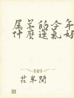 属羊的今年佩戴什么运气好?