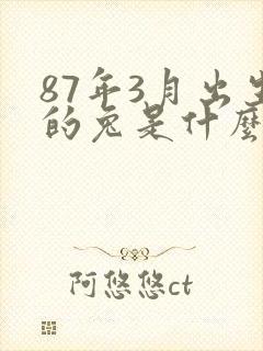 87年3月出生的兔是什么命