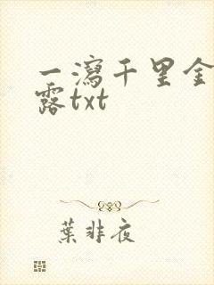 一泻千里金银花露txt