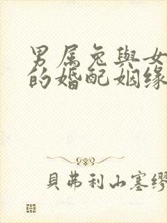 男属兔与女属龙的婚配姻缘怎样