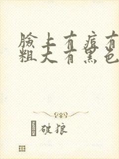 脸上有痘有毛孔粗大有黑色素怎么办封面