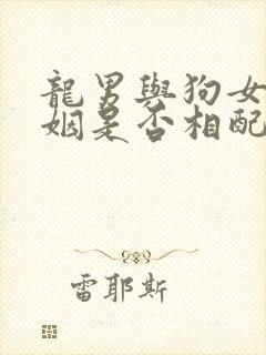 龙男与狗女的婚姻是否相配封面