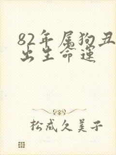 82年属狗丑时出生命运封面