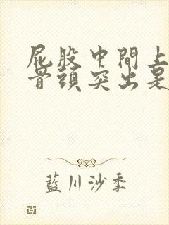 屁股中间上面的骨头突出是怎么回事封面