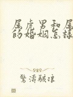 属虎男和属龙女的婚姻怎样